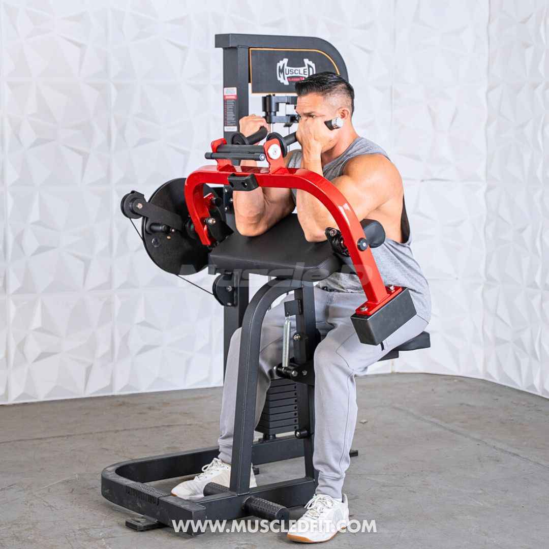Classic V2 Selectorized Biceps/Triceps Combo – Commercial Gym Machine