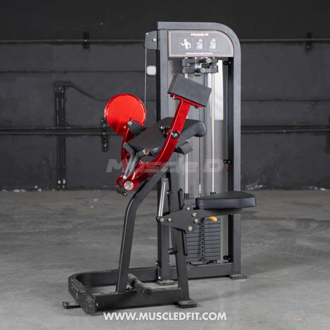 Classic V2 Selectorized Biceps Curl | Muscle D Fitness | 150lb Stack