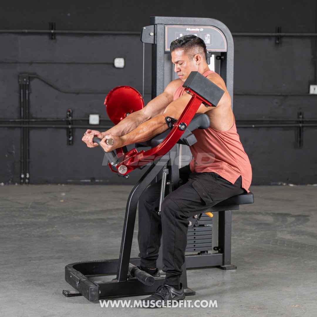 Classic V2 Selectorized Biceps Curl | Muscle D Fitness | 150lb Stack