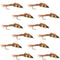 Double Bead Pheasant Tail Nymph Fly Fishing Flies -  1 Dozen Flies Hook Size 8