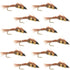 Double Bead Pheasant Tail Nymph Fly Fishing Flies -  1 Dozen Flies Hook Size 8