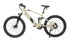 DEFENDER - Electric Bicycle