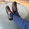 Men's Don Giovanni Wingtips - Brown