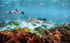 MixPro - Sublue Underwater Scooter