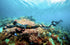 MixPro - Sublue Underwater Scooter