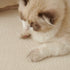 Luxurious Teddy Velvet Solid Sofa Towel - Non-Slip Waterproof Sofa Cover Furniture Protector and Pet Couch Cover