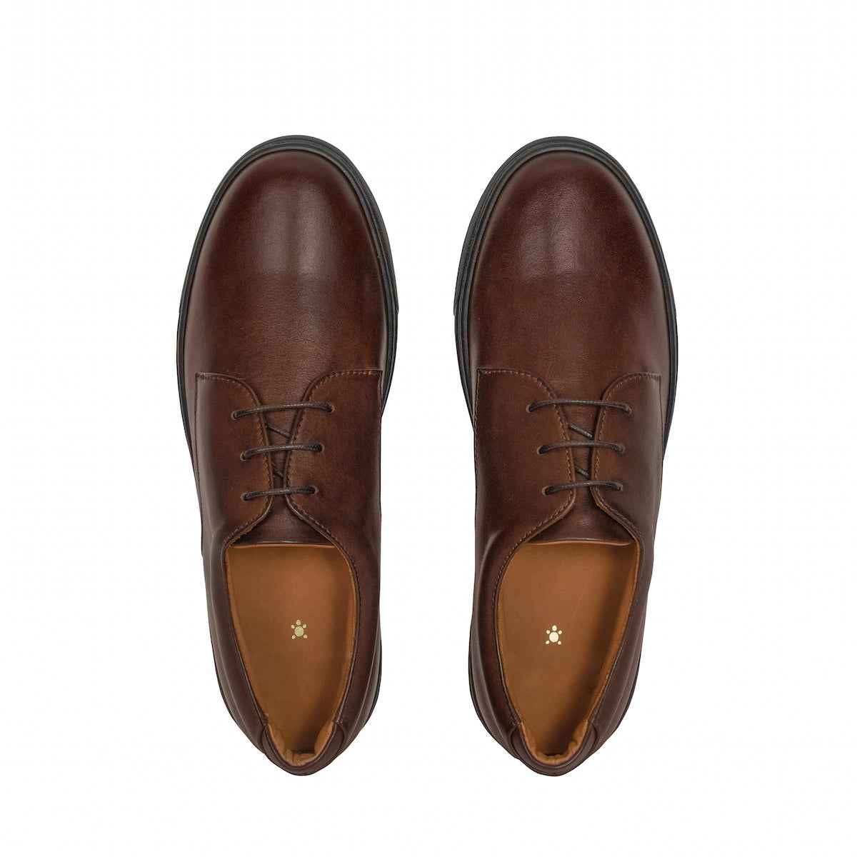 Women's Dafne - Brown