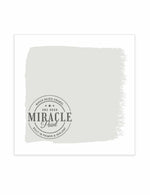 Miracle Paint (32 oz.)