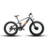 DEFENDER-S - Electric Bicycle