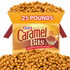Kraft Caramel Bits, Unwrapped for Easy Melting – Bulk Value Bag