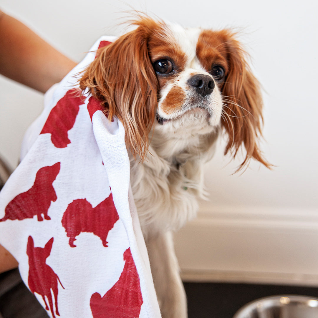 Dogs - Mesh Stencil 18x12