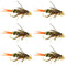 Double Bead Twenty Incher Nymph Fly Fishing Flies - 6 Flies Hook Size 12