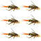 Double Bead Twenty Incher Nymph Fly Fishing Flies - 6 Flies Hook Size 8