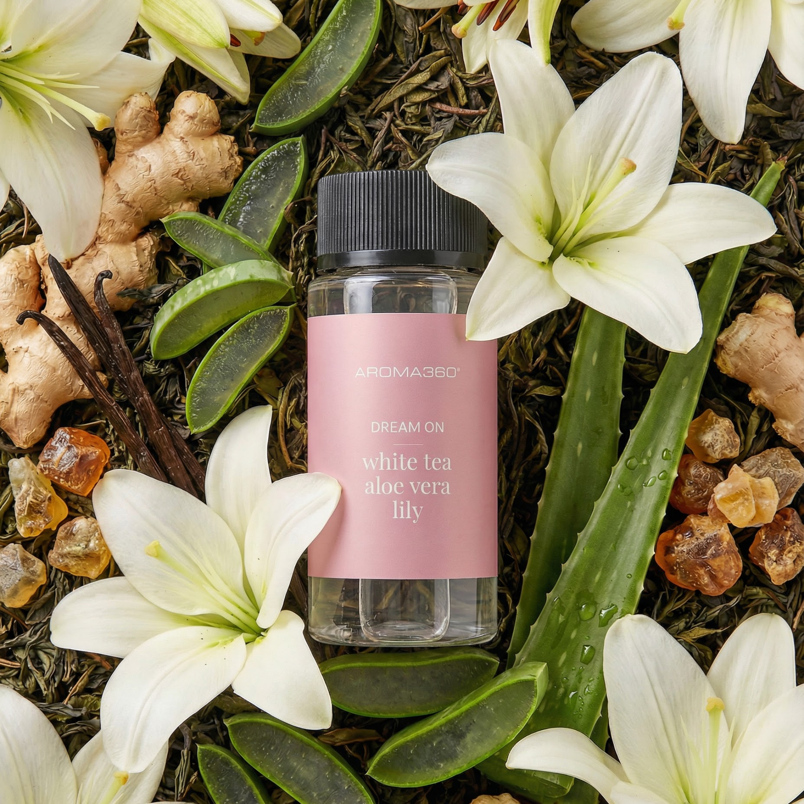 Dream On™ Fragrance Oil