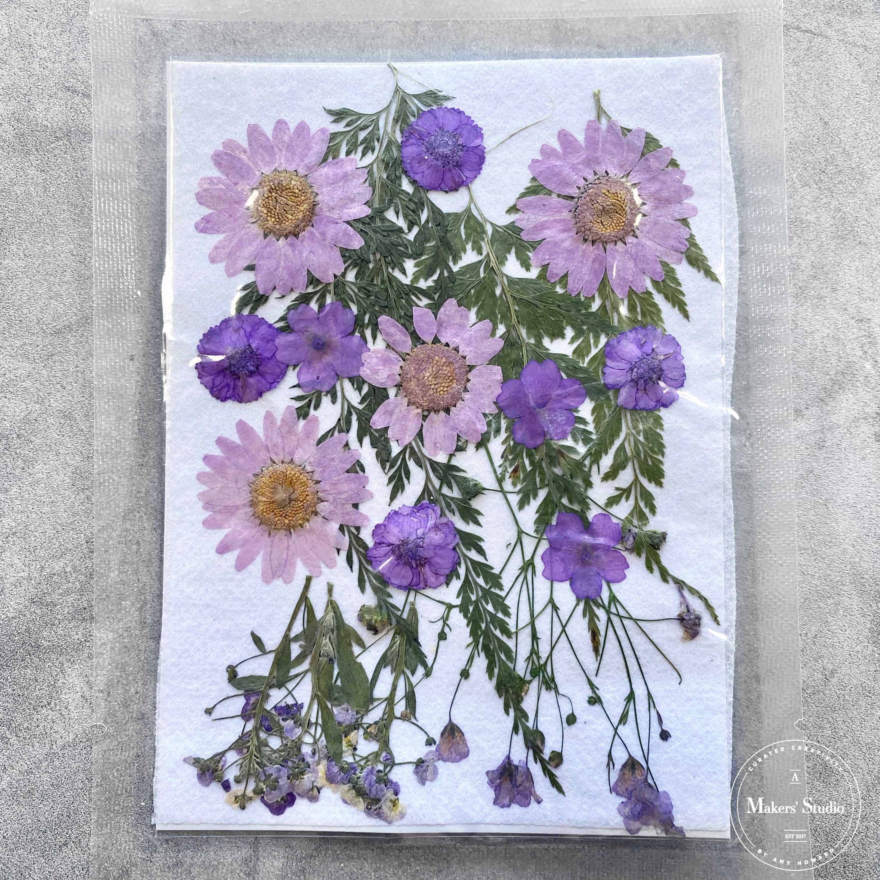 Purple Dried Flowers