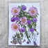 Purple Dried Flowers