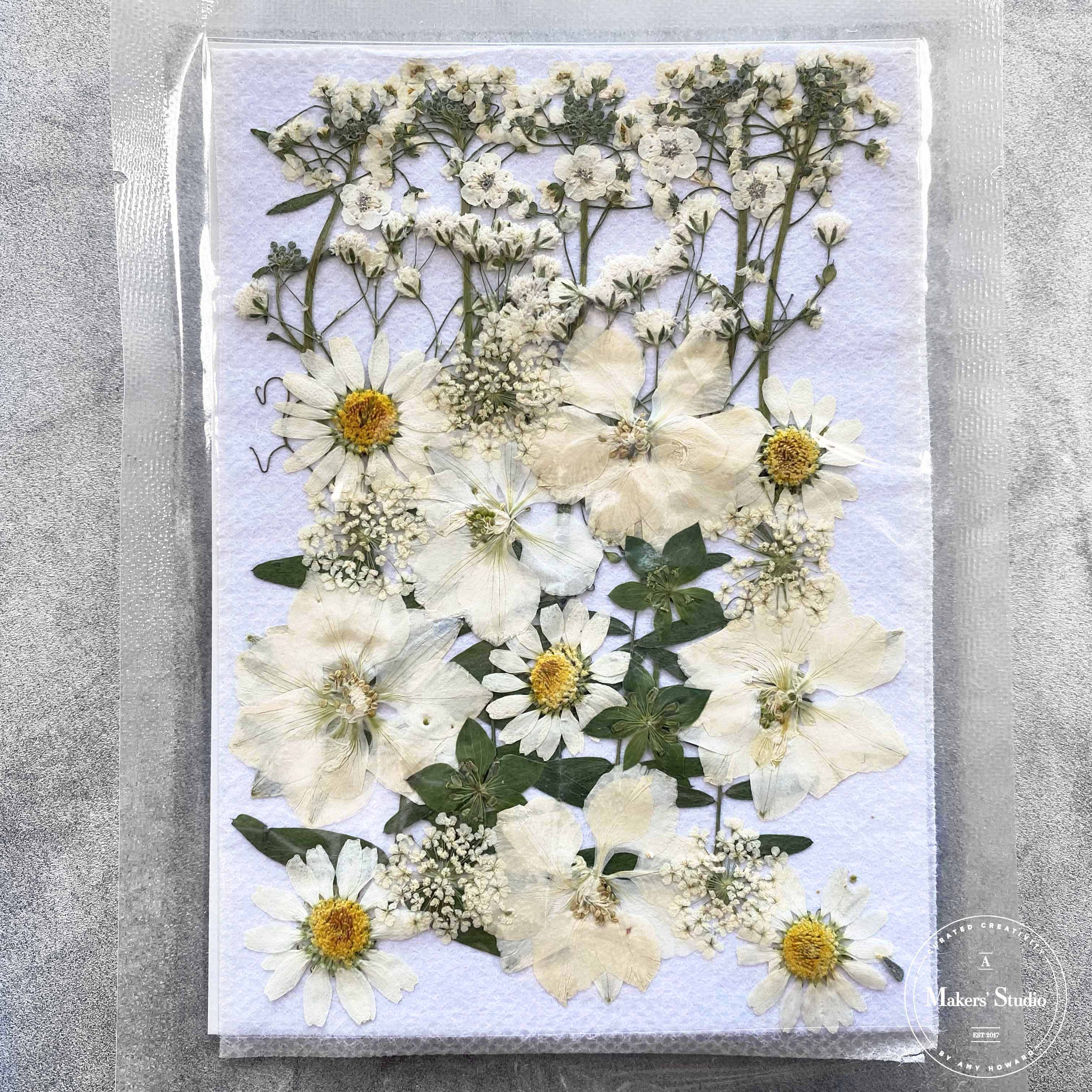 Yellow Dried Flowers