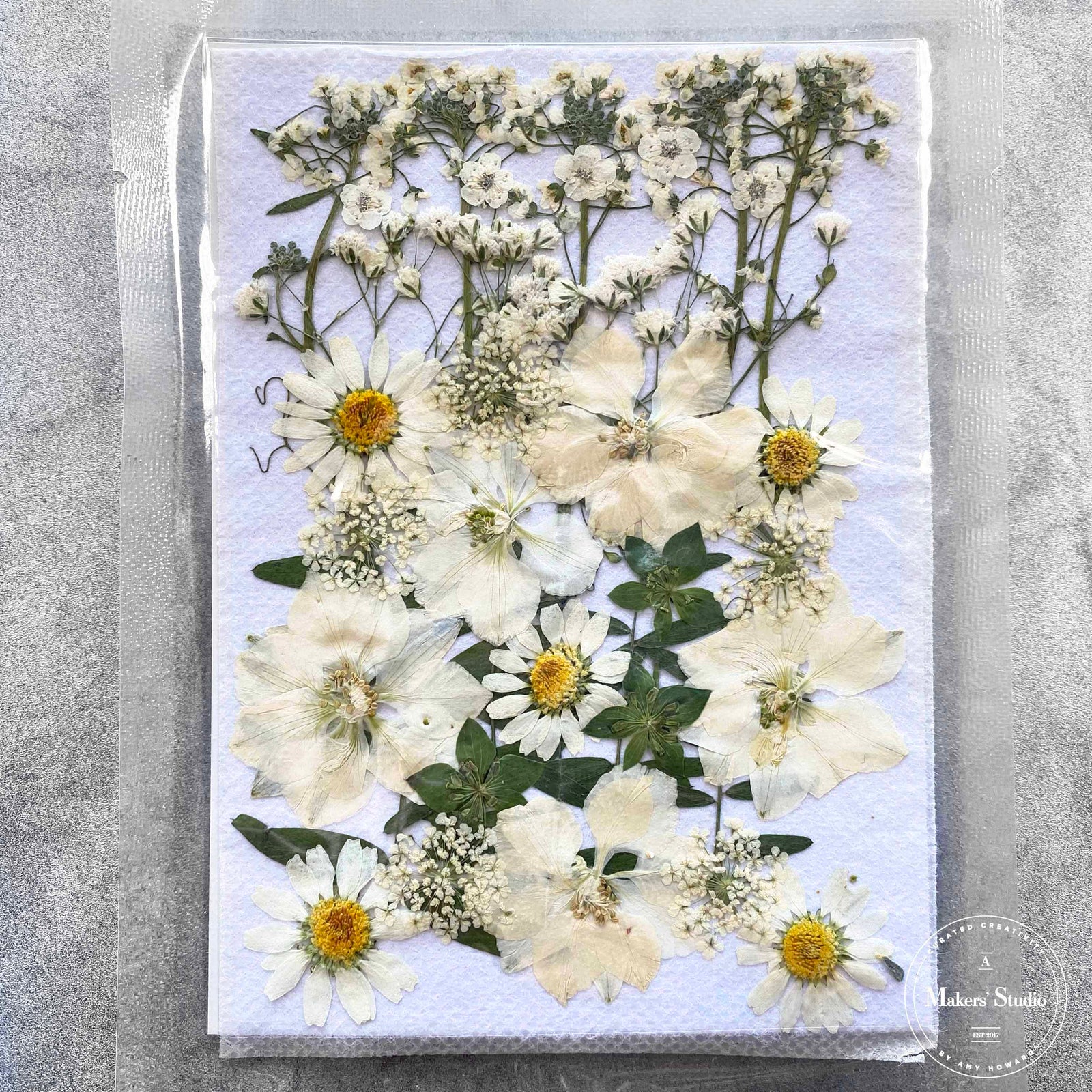 Yellow Dried Flowers