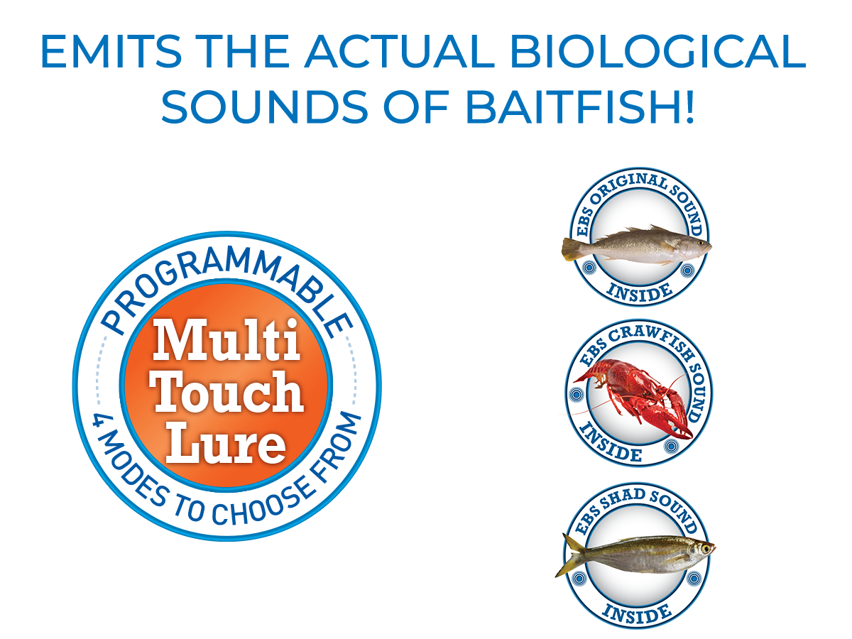 WALK N POP 77