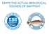 Walking Boss II Jr.4"