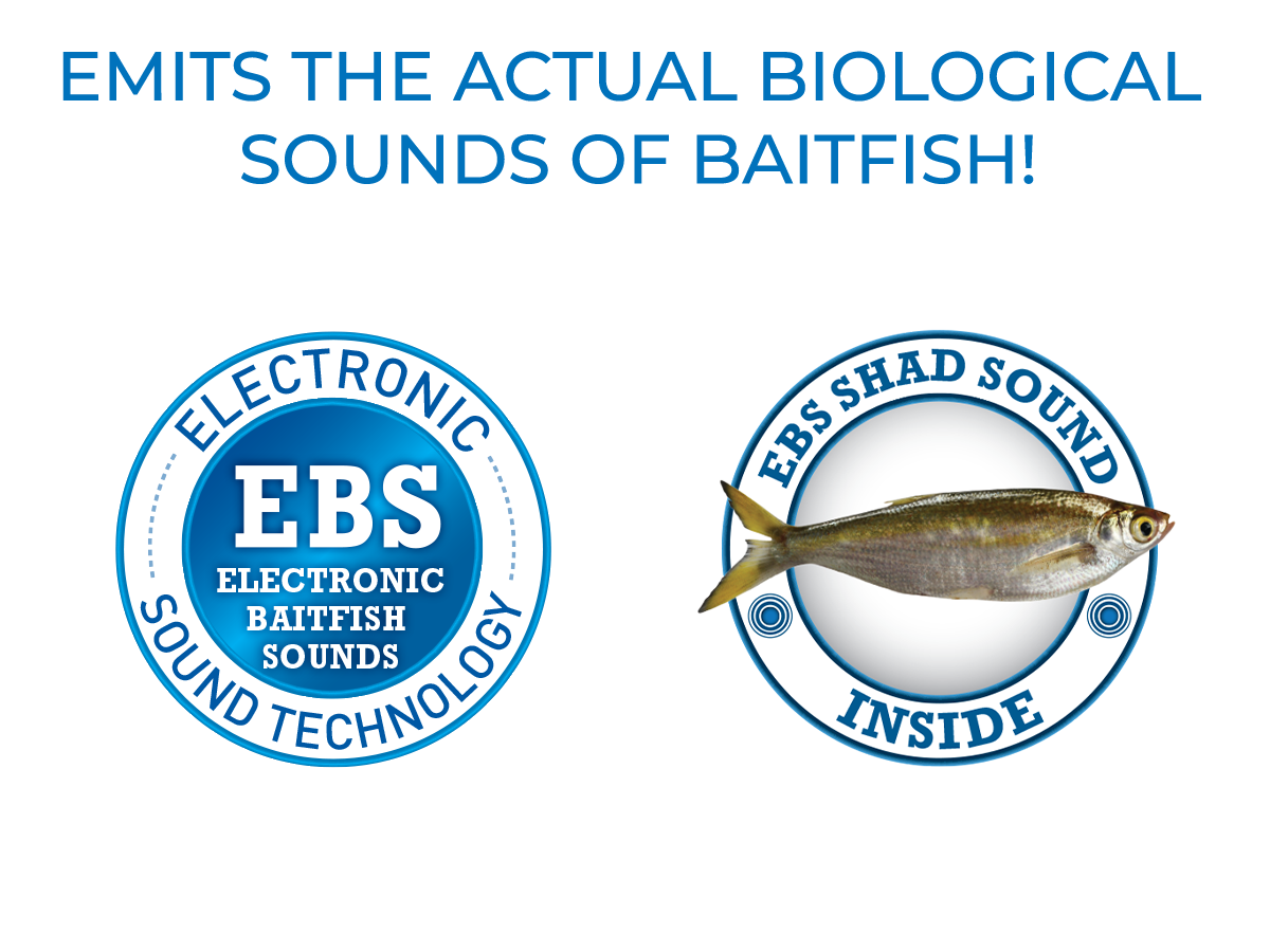 Voyager