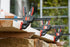 Bessey EHK Trigger Clamp 18" EHKXL18