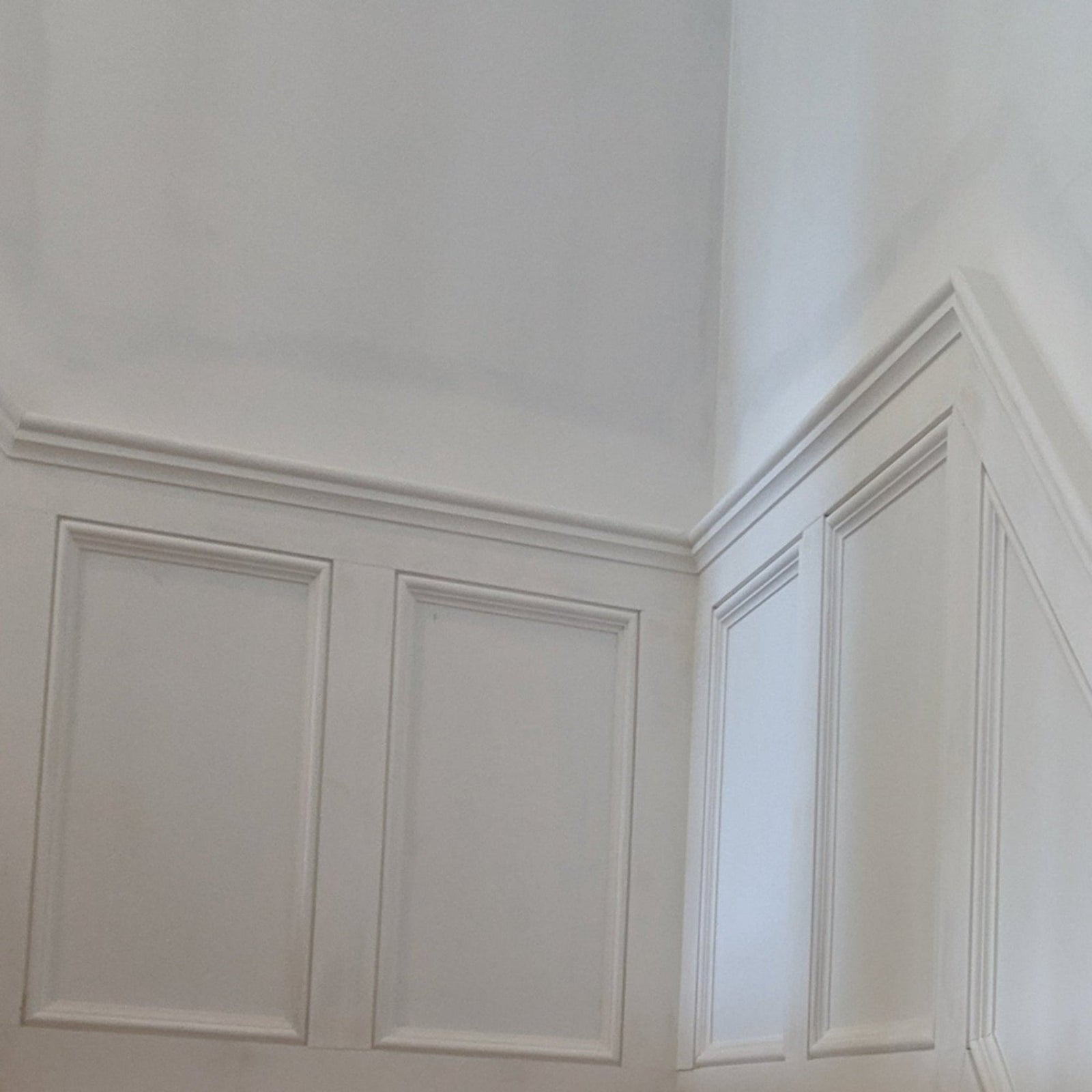 EWPM23 Nose and Cove Panel Molding 1-1/4