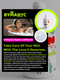 Eco Volumizing Shampoo for Dry Ends | BYMANYC ® New York