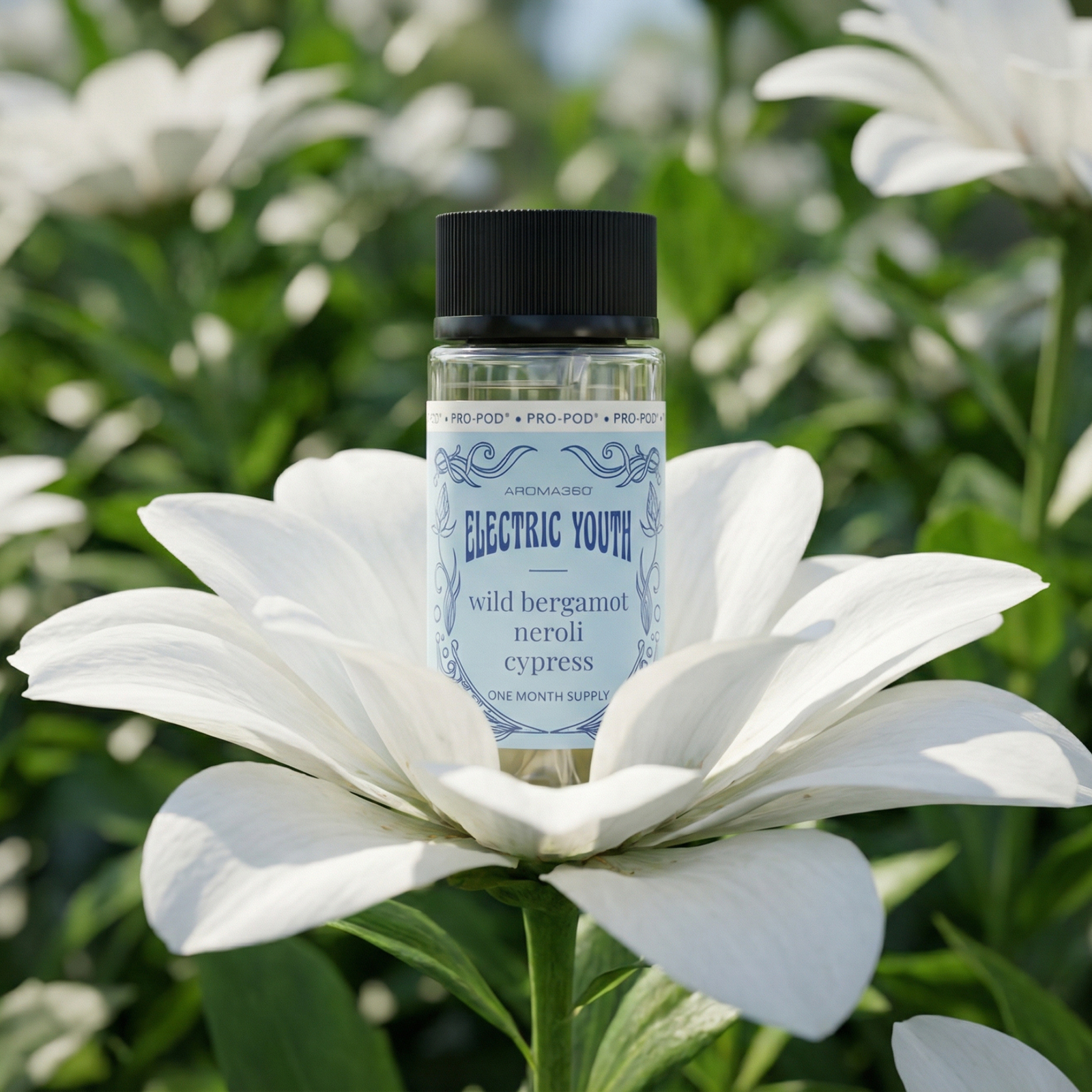 Electric Youth Fragrance Oil