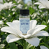 Electric Youth Fragrance Oil