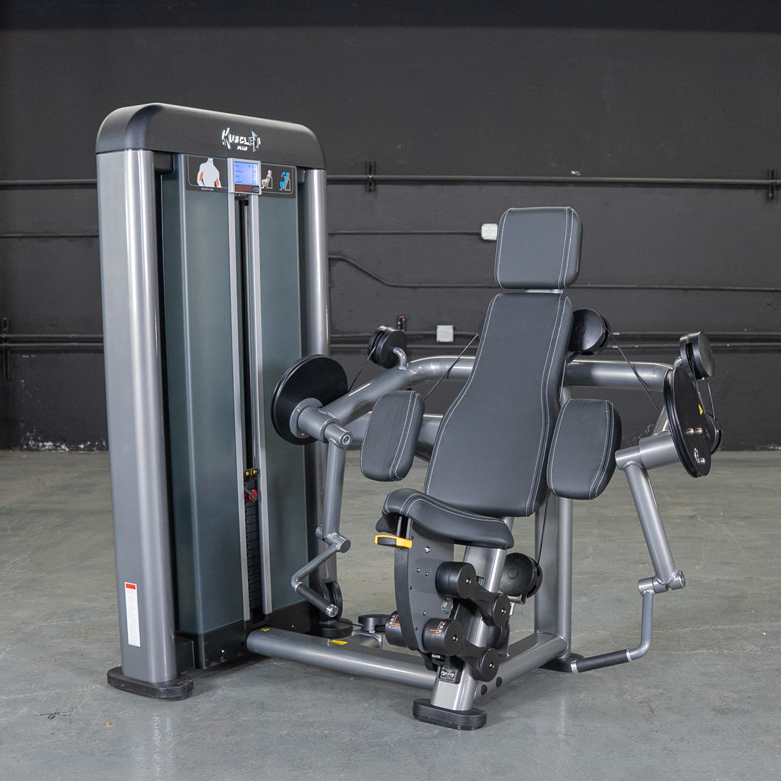 Elite Plus Biceps Curl Machine | Muscle D Fitness