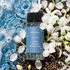 Escapade Fragrance Oil