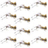 Fat Albert Tan Foam Body Grasshopper Fly - 1 Dozen Flies Hook Size 10