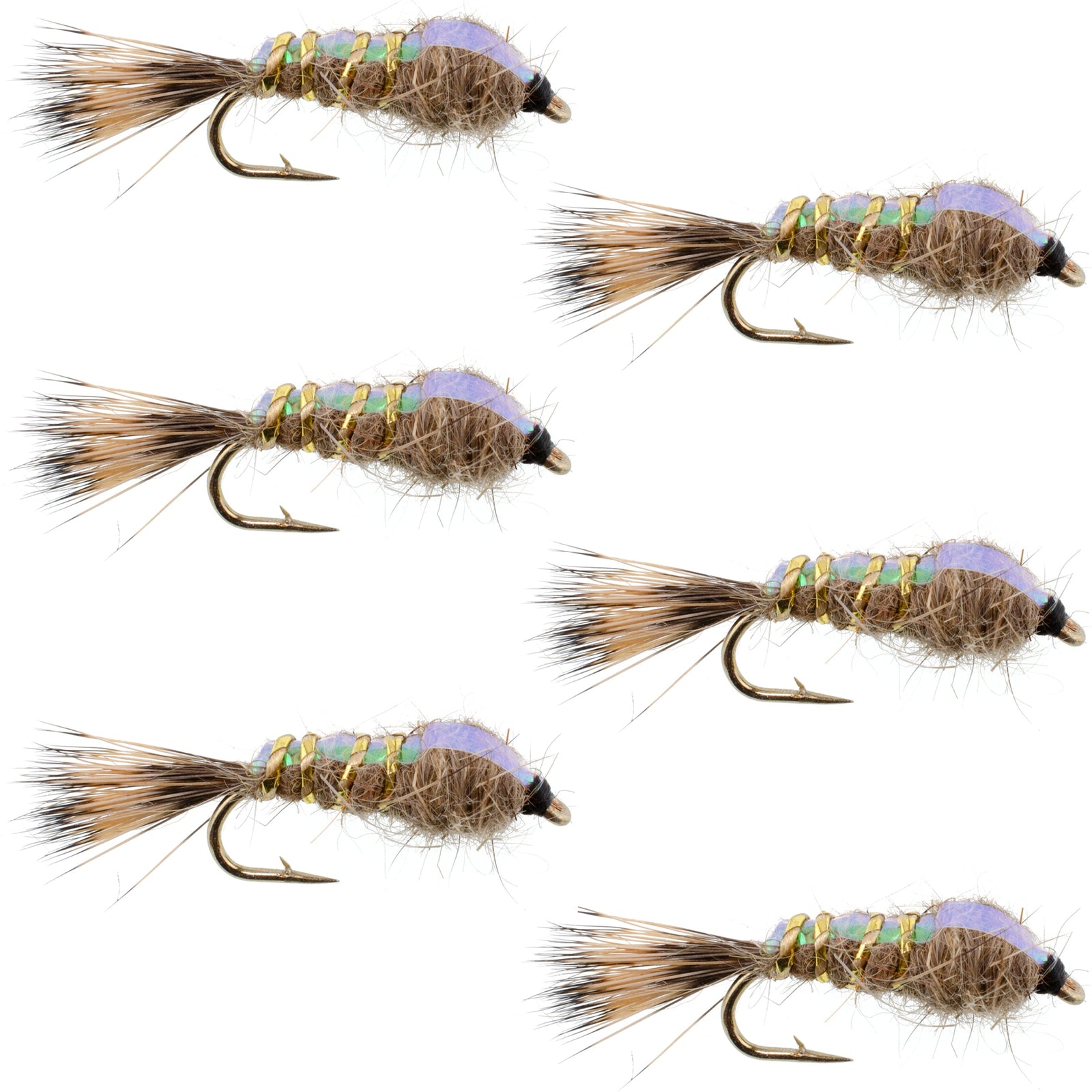Classic Weighted Flashback Gold Ribbed Hares Ear Nymph - Set of 6 Flies - Size 14