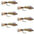 Classic Weighted Flashback Gold Ribbed Hares Ear Nymph - Set of 6 Flies - Size 16