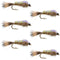 Classic Weighted Flashback Gold Ribbed Hares Ear Nymph - Set of 6 Flies - Size 14