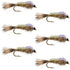 Classic Weighted Flashback Gold Ribbed Hares Ear Nymph - Set of 6 Flies - Size 14