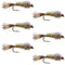 Classic Weighted Flashback Gold Ribbed Hares Ear Nymph - Set of 6 Flies - Size 12
