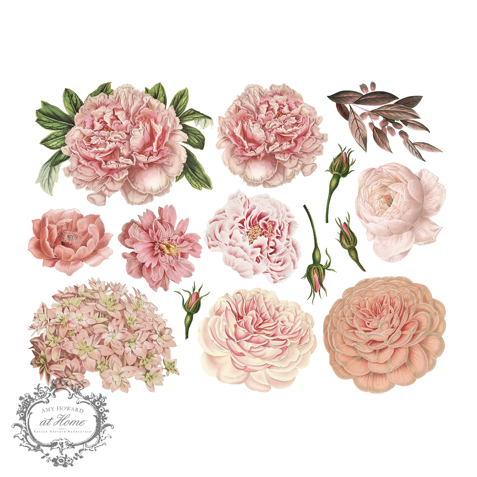 Full Bloom - Color Transfer 16