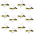 Tungsten Bead Head Rubber Legs Olive Gold-Ribbed Hare's Ear Trout Fly Nymph - 1 Dozen Flies Hook Size 16