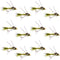Tungsten Bead Head Rubber Legs Olive Gold-Ribbed Hare's Ear Trout Fly Nymph - 1 Dozen Flies Hook Size 14