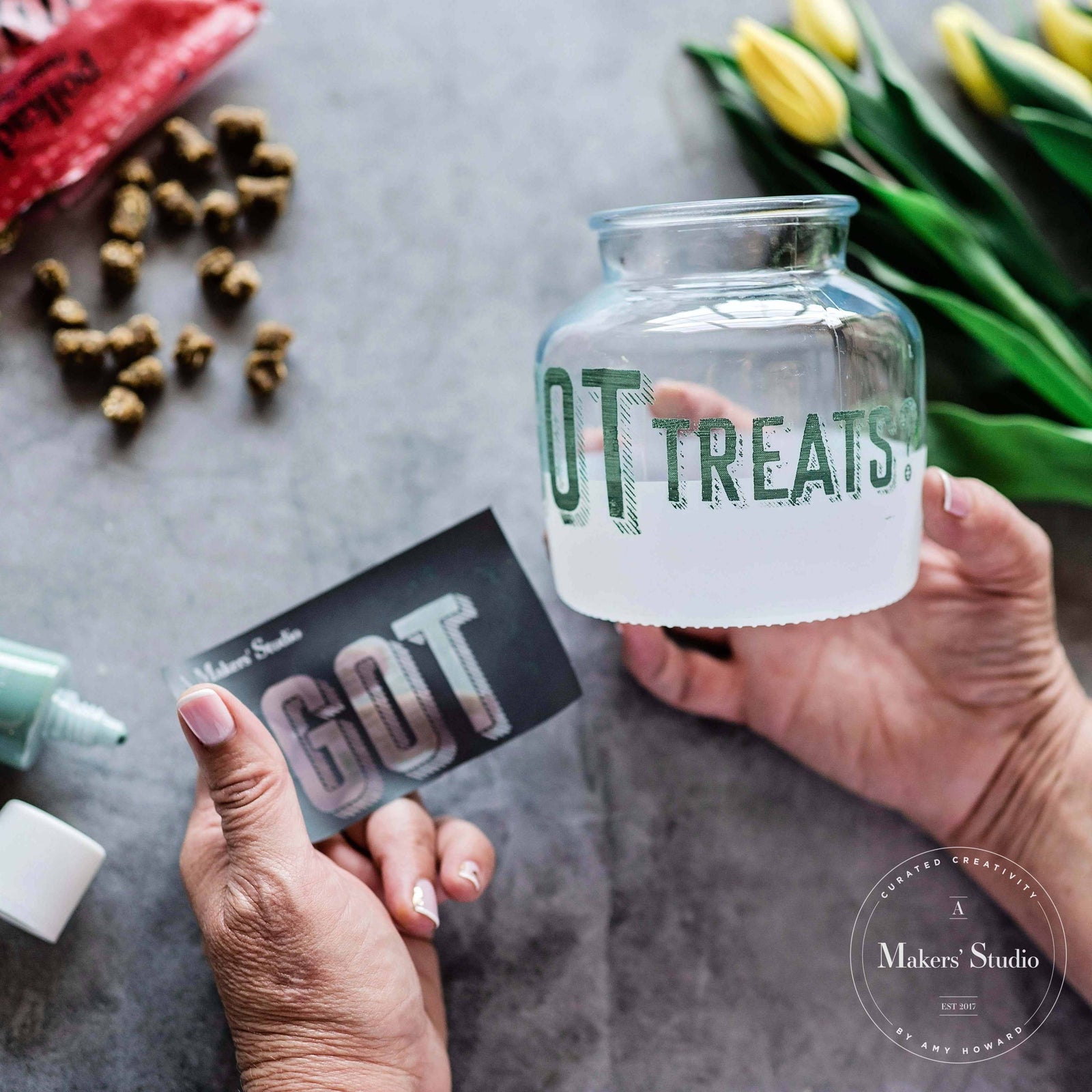 Got Treats? - Mesh Stencil 8.5x11