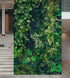 Greenery Jungle Bush Wallpaper Mural. Tropical Leaves / Fern Wallpaper. #6765