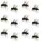 Griffiths Gnat Midge Trout Dry Fly Fishing Flies - 1 Dozen Flies Size 18