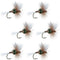 H & L Variant Classic Dry Fly - 6 Flies Hook Size 16