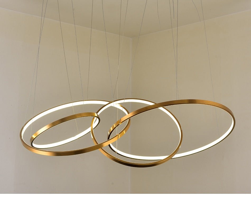 Large Ring Stainless Steel Light Fixture for Staircase