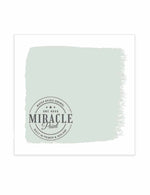 Miracle Paint (32 oz.)