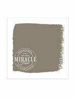 Miracle Paint (32 oz.)