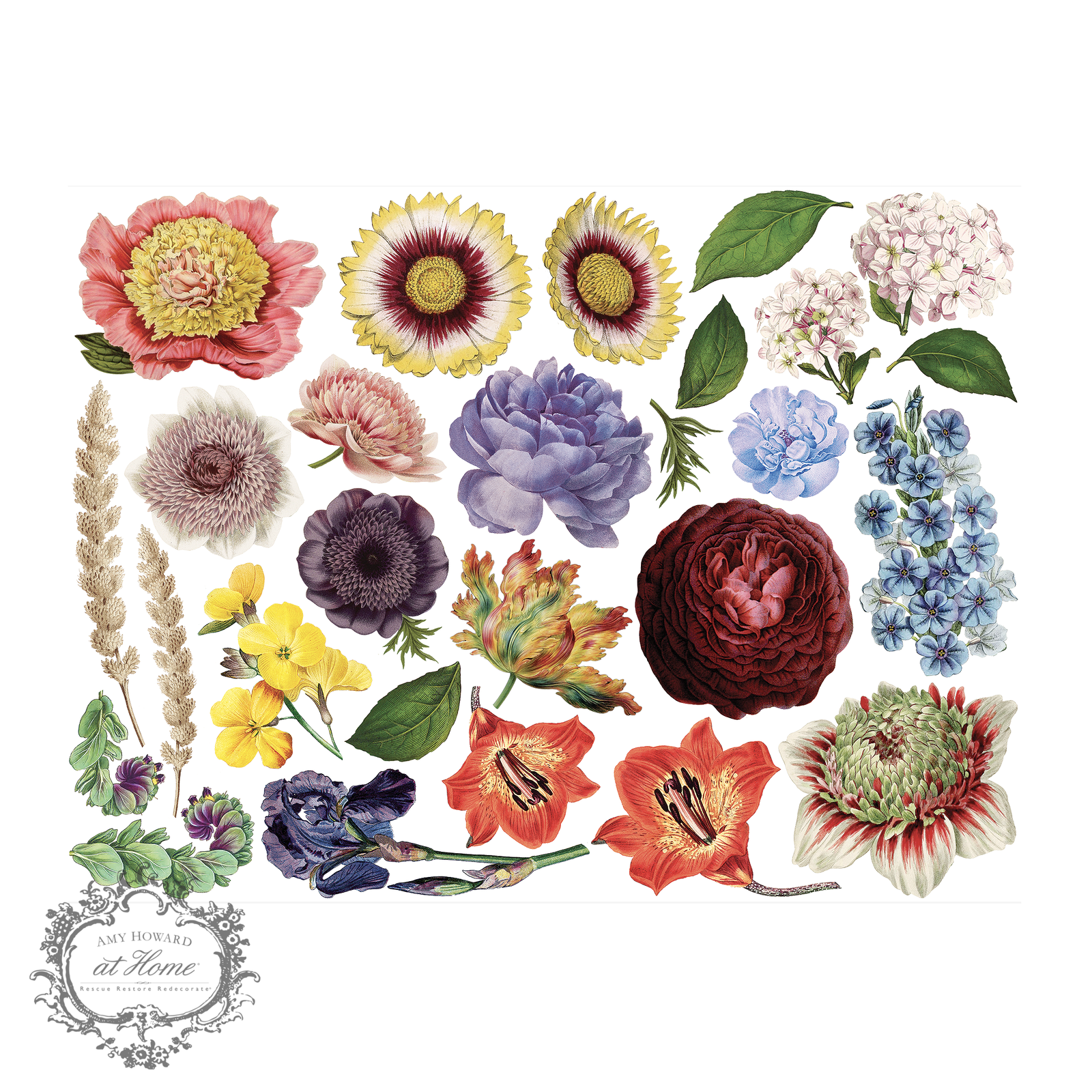 Hydrangea Garden - Color Transfer 16