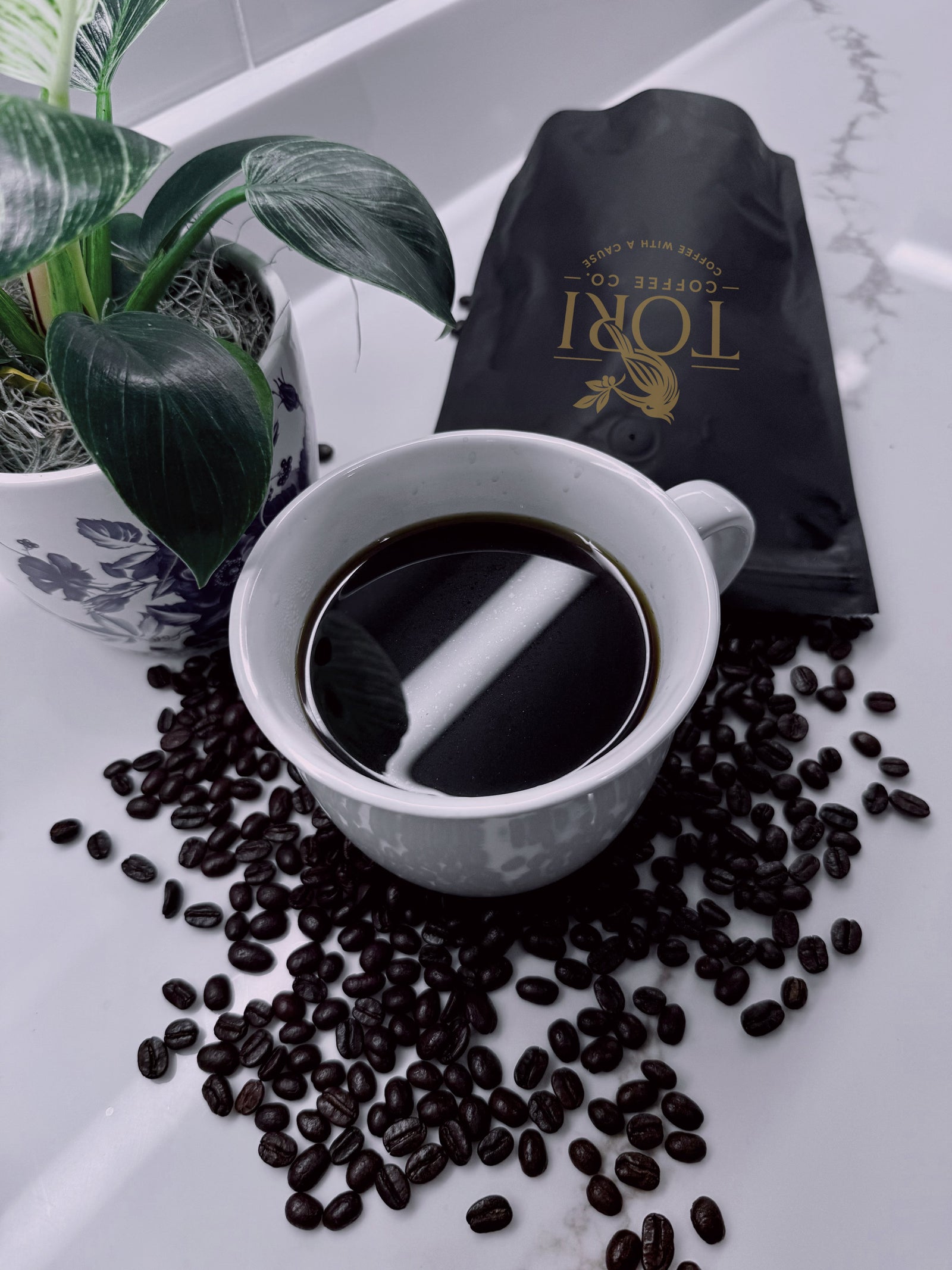 Guatemala | Dark Roast  | 12oz